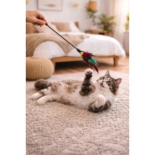 Kediler Için Çıngıraklı Tüylü Oyun Çubuğu Zilli Kedi Oyuncağı | Hareketli Kedi Eğlence Çubuğu