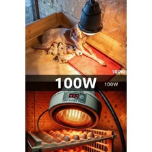 Aesco 100W Kızılötesi (Infrared) Isıtıcılı Hayvan Isıtma ve Kuluçka Lambası (Kırmızı Işık) E27 (Kalın Duy) ( Lisinya )