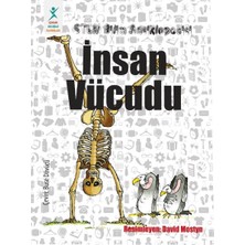 Aesco Insan Vücudu
