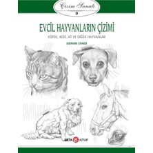Aesco Çizim Sanatı Serisi 9 - Evcil Hayvanların Çizimi