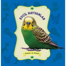 Aesco Evcil Hayvanlar - Dokun ve Hisset