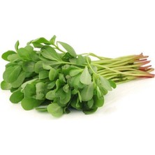 Aesco Semizotu Tohumu 10 gr