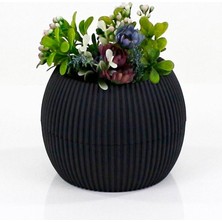 Aesco Mercan Saksı 2 Numara 0,35 Litre Su Hazneli Dekoratif Kaktüs Sukulent Saksı 11,8x9,2 cm