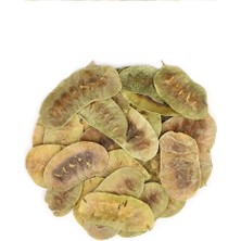 Aesco Organik Taze Dökme Açlık Otu 250 gr