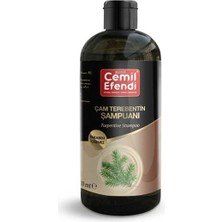 Aesco Çam Terebentin Şampuanı Yağlı Saçlar Için 400 Ml.