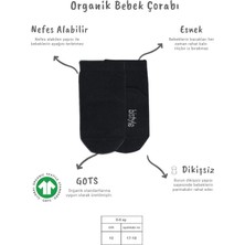 Aesco Mey Ithalat®   5'li Penye Soket Kutulu Basic Çorap 10131 Gri