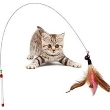 Aesco Mey Ithalat® Kedi Oyun Oltası 90 cm