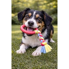 Köpek Diş Kaşıyıcı Dayanıklı Çiğneme ve Isırma Oyuncağı Halatlı Kauçuk