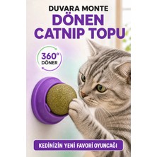 Kedi Nanesi Catnip Döner Top Yenilebilir Duvara Yapışan Kedi Oyuncağı