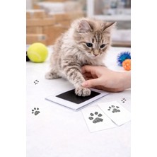 Kedi & Köpek Pati Izi Çıkarma Aparatı | Pati Baskı Pedi + Kart | Hatıra Seti