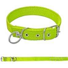 Asyaink Savex Dokuma Köpek Boyun Tasması Yeşil 2.5*50 cm - 50 x 2 cm
