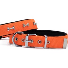 Asyaink Doggie Konfor Dokuma Kemikli Boyun Tasması Turuncu 2.5*42-50 cm (DSBT-2562 L)