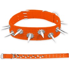 Asyaink Dokuma Çivili Köpek Boyun Tasması - 5*80 cm - Turuncu - 80 x 5 cm