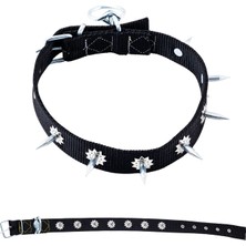 Asyaink Dokuma Çivili Köpek Boyun Tasması - 4*70 cm - Siyah