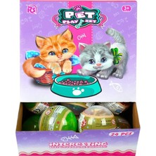 Nessi World Evcil Hayvan Top Içinde Yavru Kedi