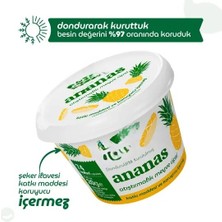NW NessiWorld Ananas Atıştırmalık Meyve Cipsi 20GR