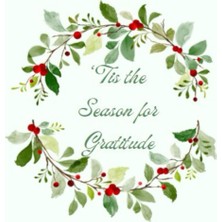 Nacario Independently Published 'tis The Season For Gratitude: Daily Gratitude Journal
