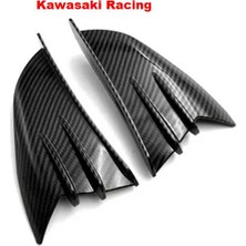 Merpa Kawasaki Z300 Z250 Z650 Z750 Z800 Z900 Z900RS Z900SE Z1000 Z1000SX Panigale Kanat Karbon Desenli
