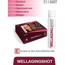 Marka Hangover Shot Well Aging Shot 21'li Kutu