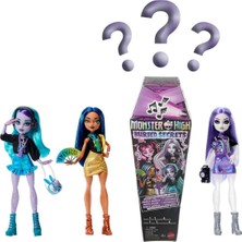 Monster High Sırlar Sürpriz Paket HYV64 - Müzik Serisi