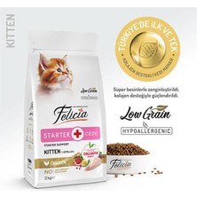 Bezos Hypoallergenic Tavuklu ve Hamsili Düşük Tahıllı Yavru Kedi Maması 2 kg