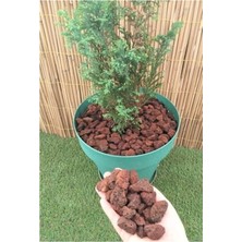 Die Grup Asenya Pomza Taşı 50 Lt 1-2 cm Dekoratif Pomza Taşı Kırmızı Pomza Tarım Pomzası Lav Taşı Cüruf Ponza