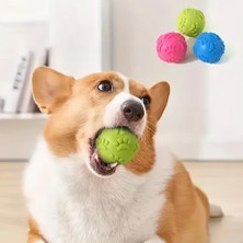 Aesco Pati Desenli Dayanıklı Köpek Isırma Topu