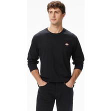 Dickies Mapleton Erkek Siyah T-Shirt