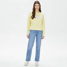 Levi's Ribcage Straight Center Lane Kadın Mavi Jean