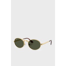 Ray-Ban Ray Ban Oval Güneş Gözlük Unisex Gözlük 0RB3931 00131 54