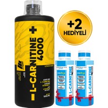 Mustang Nutrition L-Carnitine 4000 Mg 1000 Ml 33 Servis Limon + 2 x L-Karnitin Shot Hediyeli