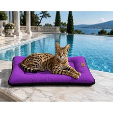 Solvéra Su Geçirmez Outdoor Kedi ve Köpek Minderi Kedi ve Köpek Yatağı