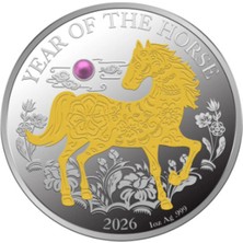 Mdm AgaKulche At Yılı Gümüş Sikke Coin