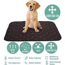 Solvéra Emici 4 Katlı Köpek Pedi, Kahve Kemik Kedi ve Köpek Yatağı