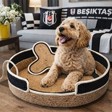 Solvéra Fanatik Temalı Köpek Yatağı ve Pedi, Renkli ve Rahat Kedi ve Köpek Yatağı