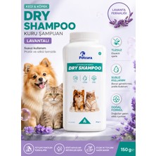Petcura Kedi Köpek Toz Kuru Şampuan Lavantalı 150 G