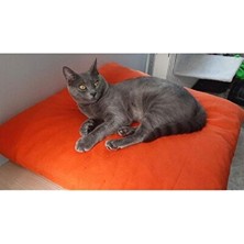 Solvéra Renkli Minder, Rahat ve Yumuşak Uyku Alanı Kedi ve Köpek Yatağı