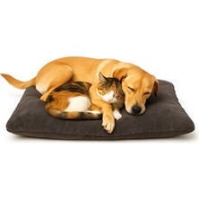Solvéra Polarlı Elyaf Dolgulu Rahat Yatak, 100X60 Cm, Yüksek Konfor Kedi ve Köpek Yatağı