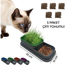 Solvéra Topraksız Kedi Çimi Kabı – Taze ve Ot Yetiştiriciliği Kedi ve Köpek Yatağı