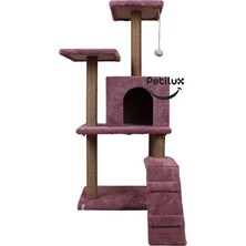 Solvéra Çekici Tırmalama ve Oyun Evi, Kedinizin Eğlencesi ve Güvenliği Kedi ve Köpek Yatağı