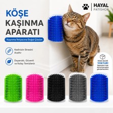Cat İt Kedi Naneli Kaşıma Kaşınma Aparatı Mavi Renk 13 cm x 8,5 cm Boyutlarıyla Eğlenceli Kullanım