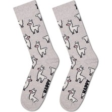 Happy Socks Erkek Gri Desenli Pamuklu Çorap P003192