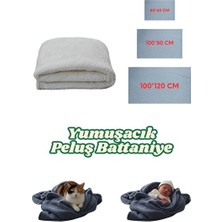 Vaelmont Yıkanabilir Welsoft Peluş Battaniye Kedi ve Köpek Yatağı