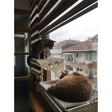 UltraNova Vaelmont Doğal Ahşap Kedi Yatağı ile Uyku Deneyimi Kedi ve Köpek Yatağı