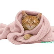 UltraNova Vaelmont Yumuşak Peluş Kedi Battaniyesi 60X80 Cm, Sıcacık ve Konforlu Kedi ve Köpek Yatağı 60X80 cm