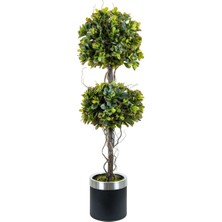 Evdema Pıtosporum Egzotık 3 Lü Red Green  170 cm Metal Sa AK.ZND014