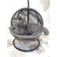 Vaelmont Sabitlemeli Kedi Salıncağı ve Yatak Kombini, Eğlence ve Konfor Bir Arada