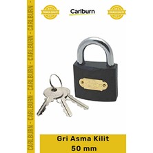 Vaelmont Güvenlikli Çelik Kapı ve Bahçe Dolap Koruyucu ve Kilit