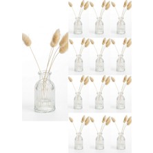 Qualitev 12 Adet Çizgili Mini Vazo 7,5 cm Kahve Yanı Küçük Dekoratif Vazo 35 ml