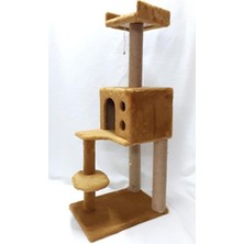 Vaelmont Sütlü Kedi Kedi Tırmalaması